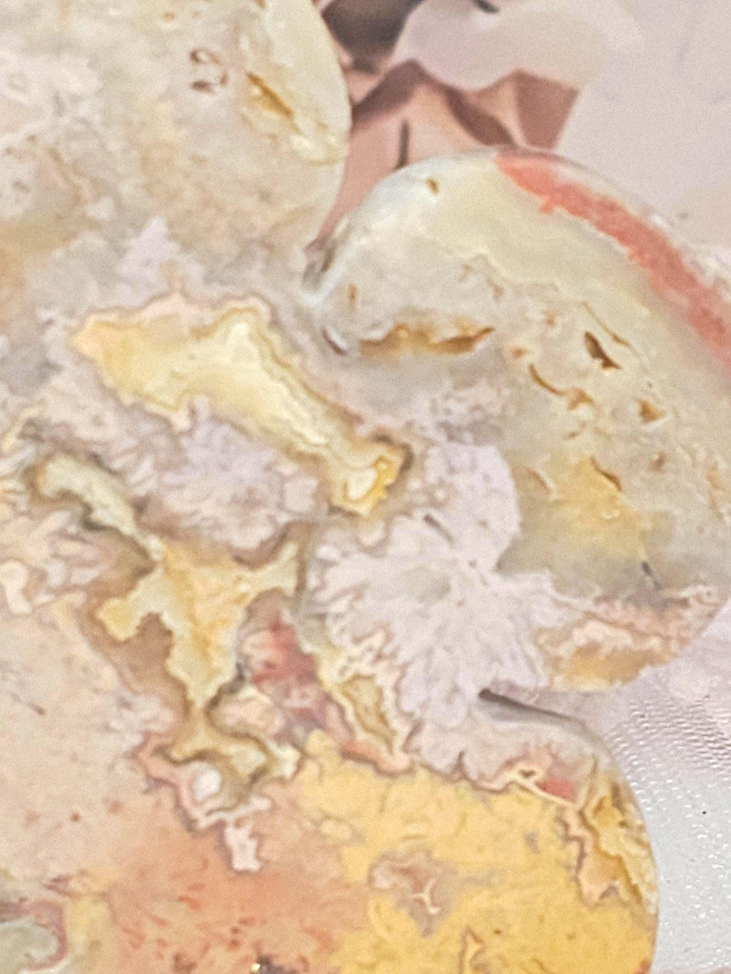 RARE Rainbow  Crazy Lotus, Crystal Lotus, Gifts