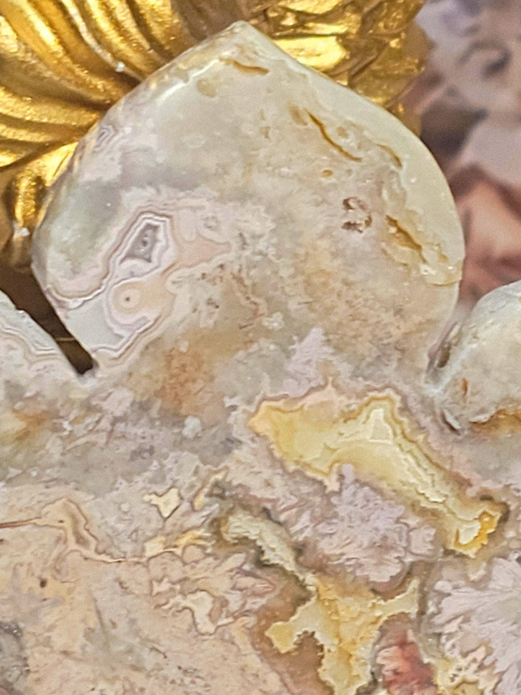 RARE Rainbow  Crazy Lotus, Crystal Lotus, Gifts