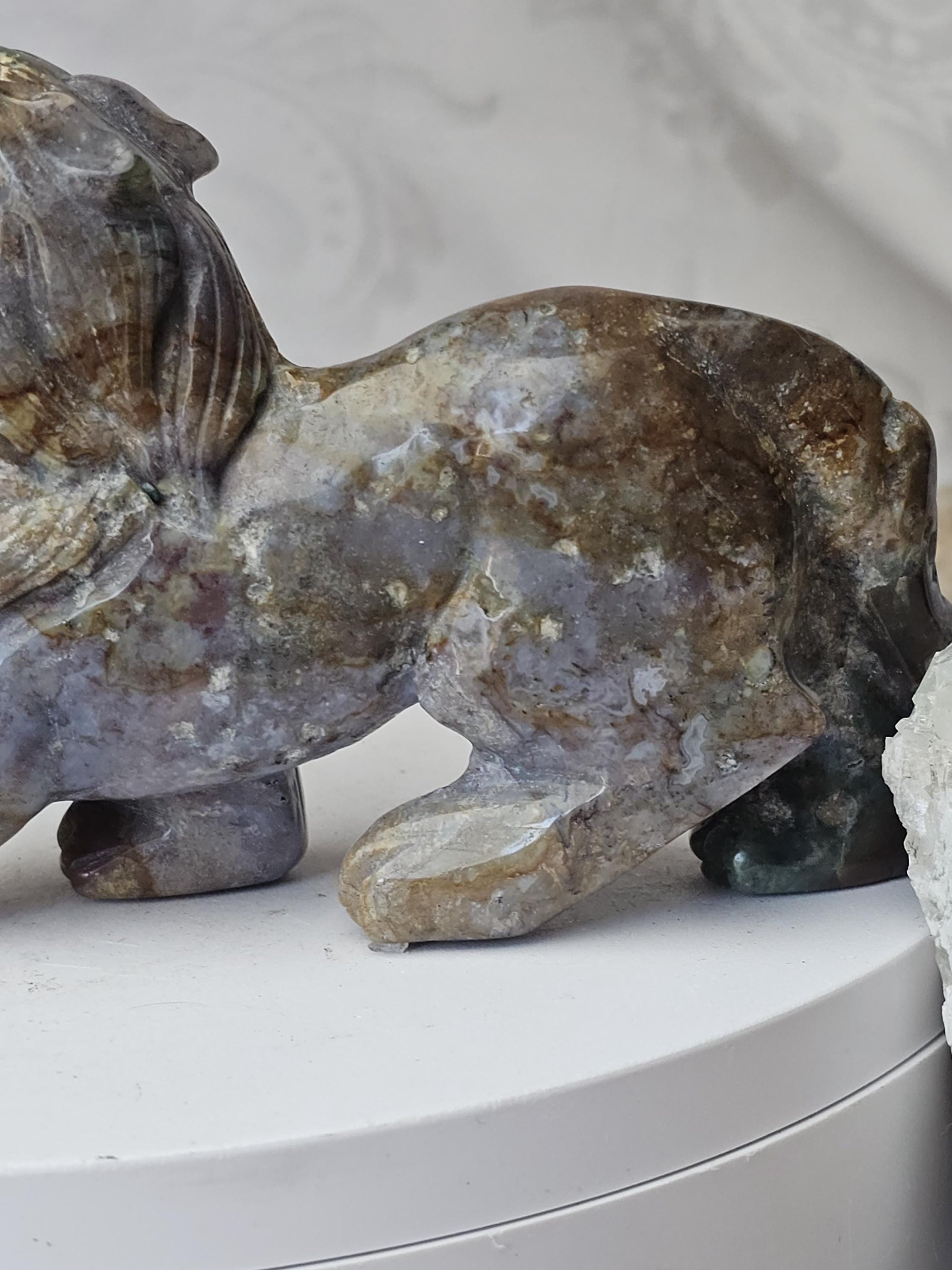 Colorful Druzy Ocean Jasper Wolf, Statement Piece, Wolf