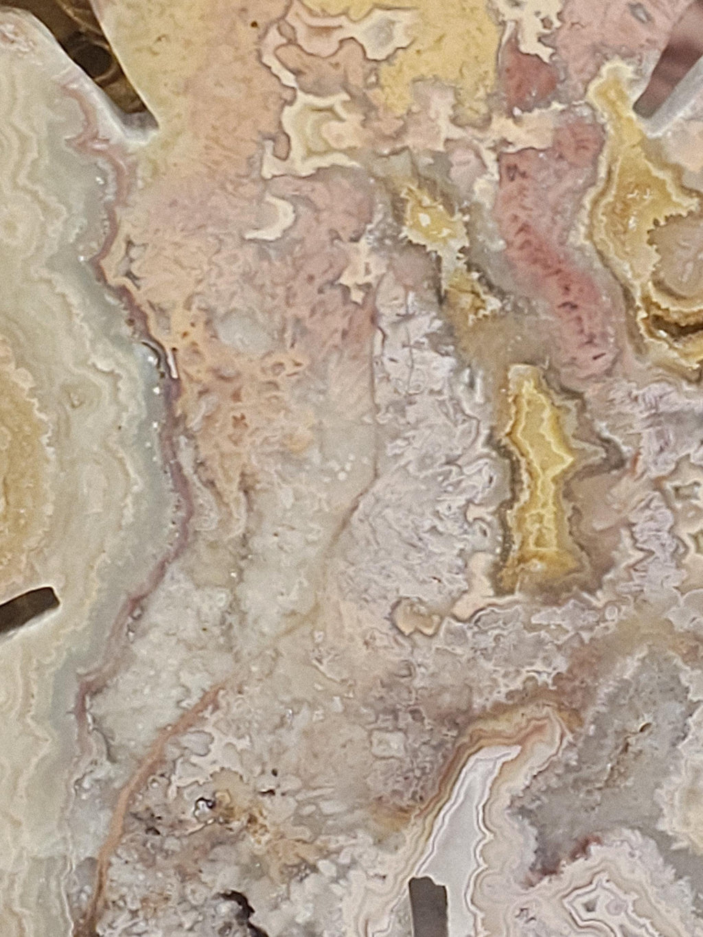 RARE Rainbow  Crazy Lotus, Crystal Lotus, Gifts