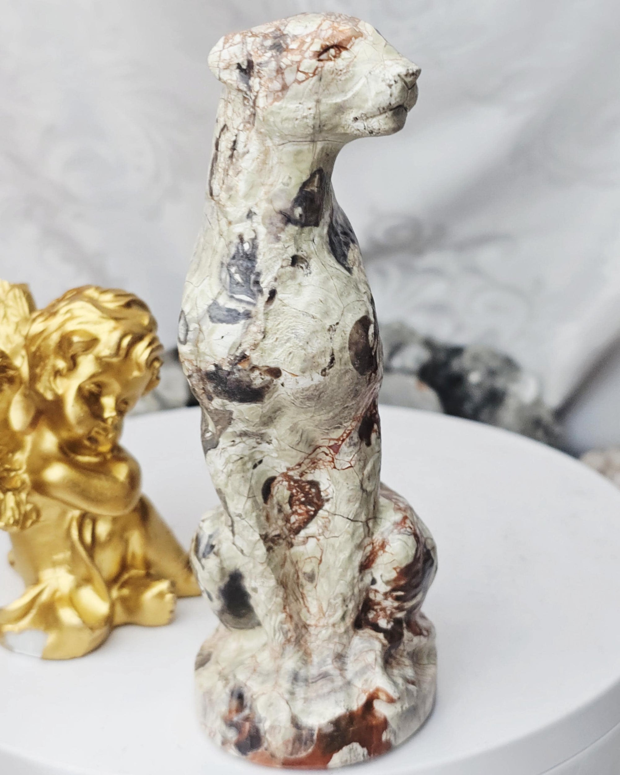 Leopard, Money Agate Leopard, Safari, Kitty,Cat, Metaphysical Crystals, Meditation Gemstones,