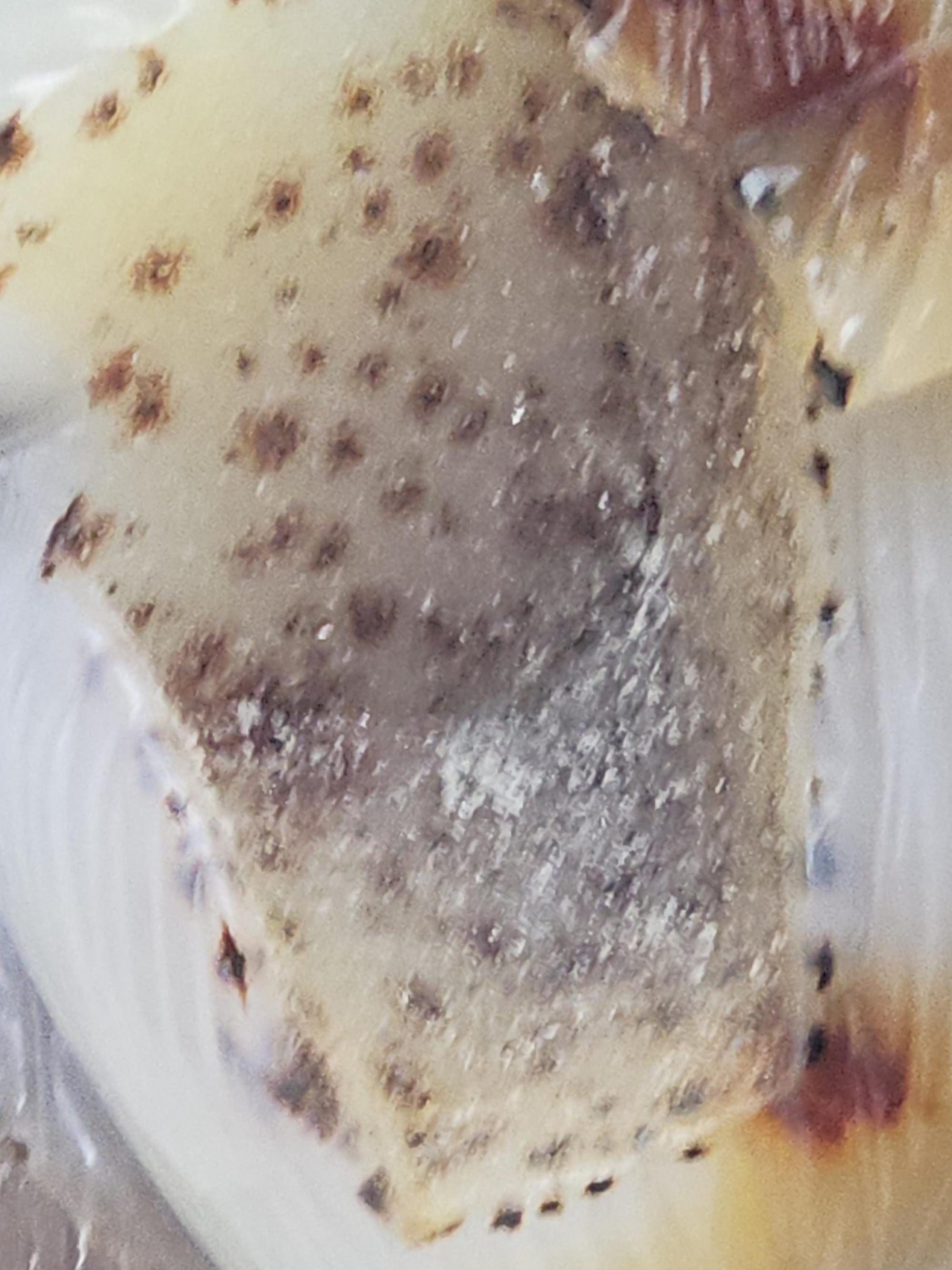 Druzy Agate Bear, Bear Statue, Crystal, Home Decor, Sculpture