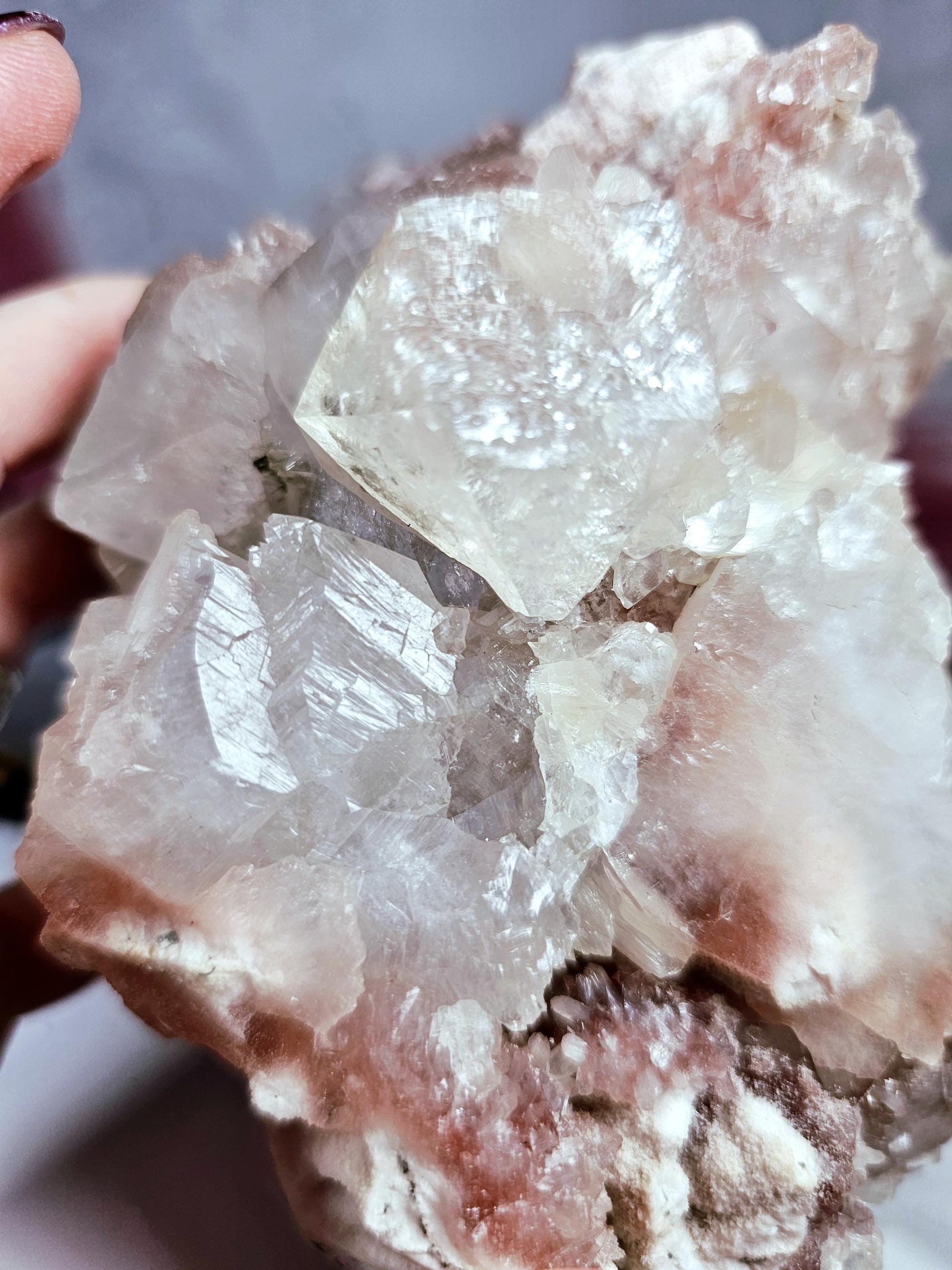 Rare Pink Cotton Candy Sugar Apophyllite Crystal Cluster from India