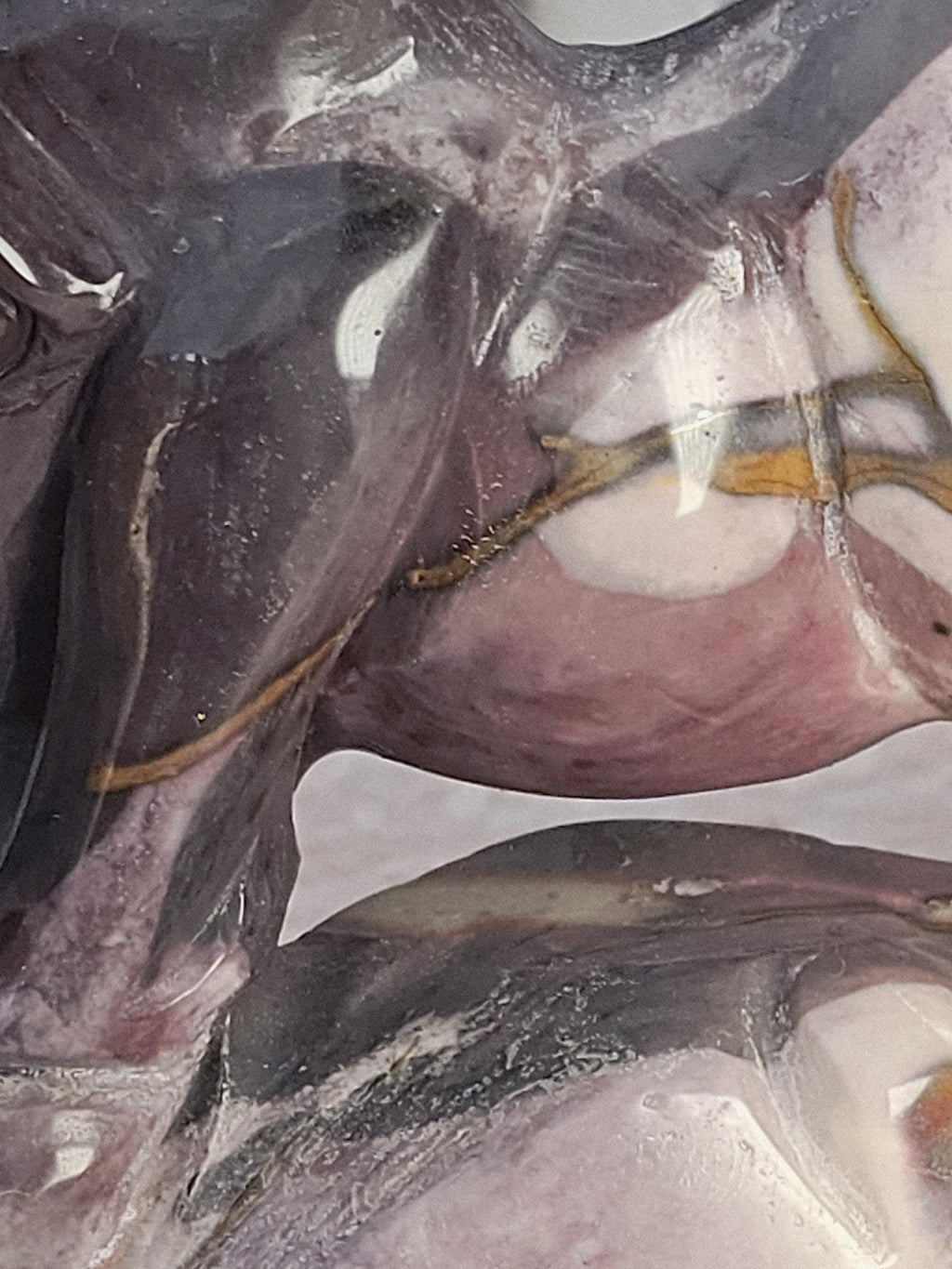 Mookaite Rhino Sculpture, Mookaite Jasper,  Australian Crystal, Chakra Stone