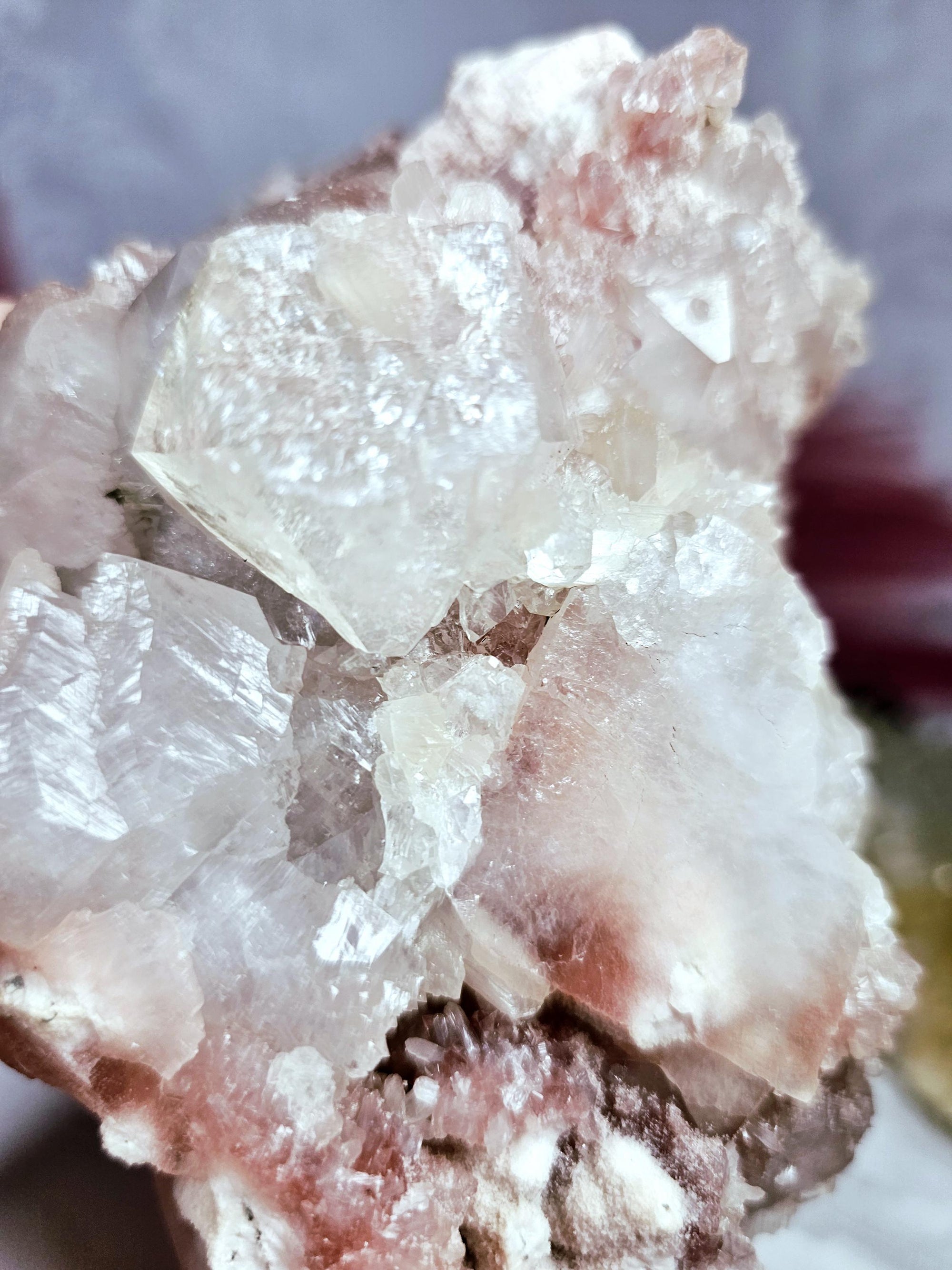 Rare Pink Cotton Candy Sugar Apophyllite Crystal Cluster from India