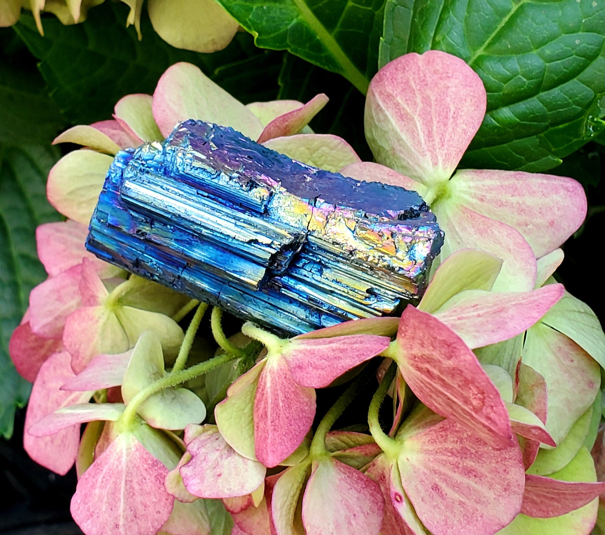 2Tourmaline, Aura Tourmaline, Aura Crystal, Rainbow Angel Aura Black Tourmaline, Raw Natural Crystal Mineral Specimen, Terminated Tourmaline