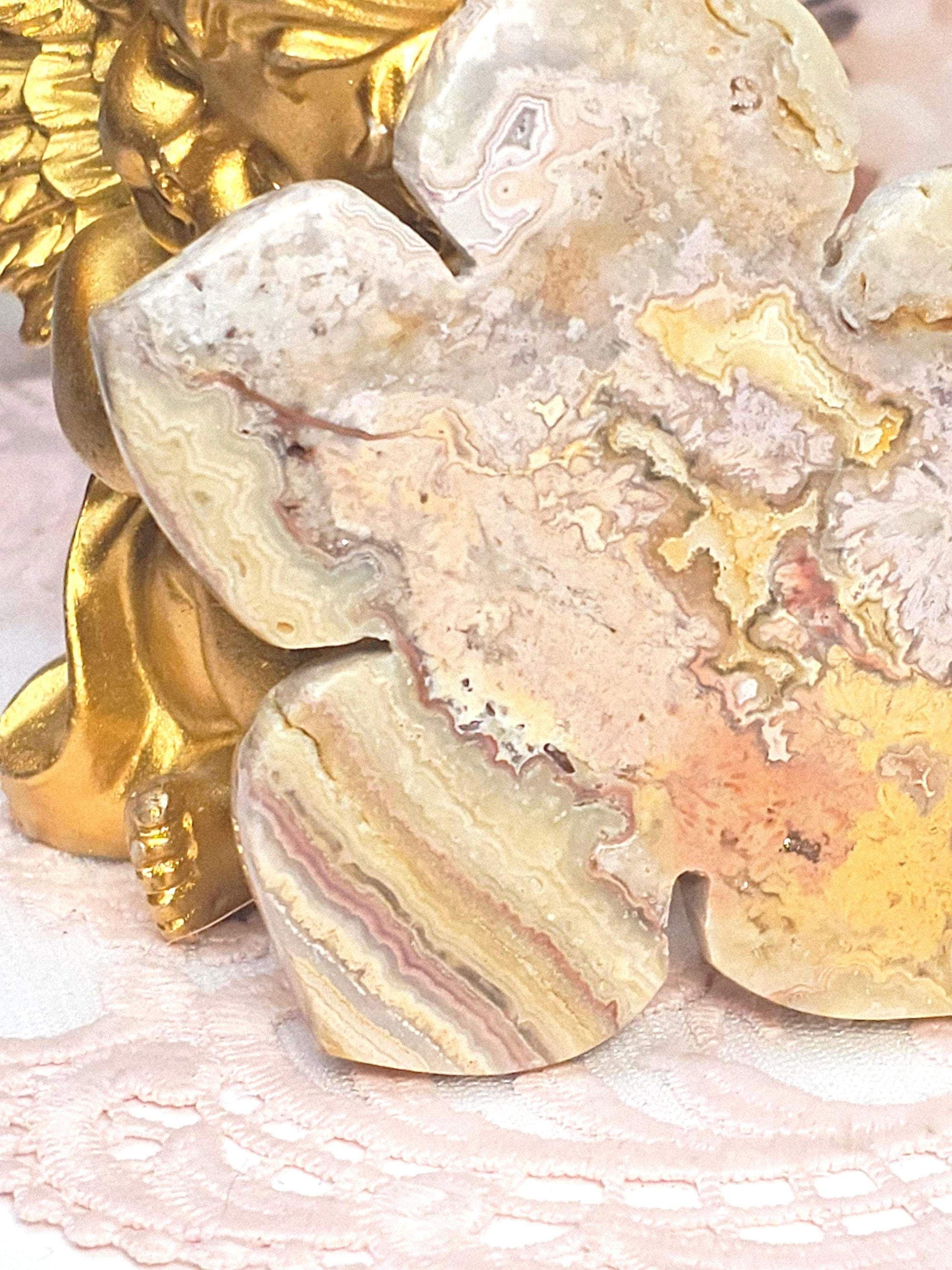 RARE Rainbow  Crazy Lotus, Crystal Lotus, Gifts