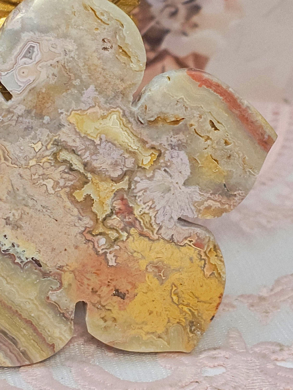 RARE Rainbow  Crazy Lotus, Crystal Lotus, Gifts