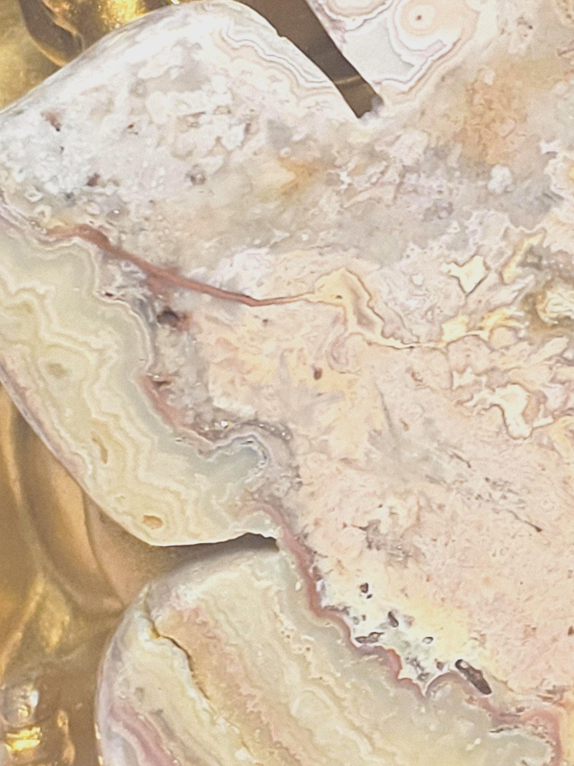 RARE Rainbow  Crazy Lotus, Crystal Lotus, Gifts