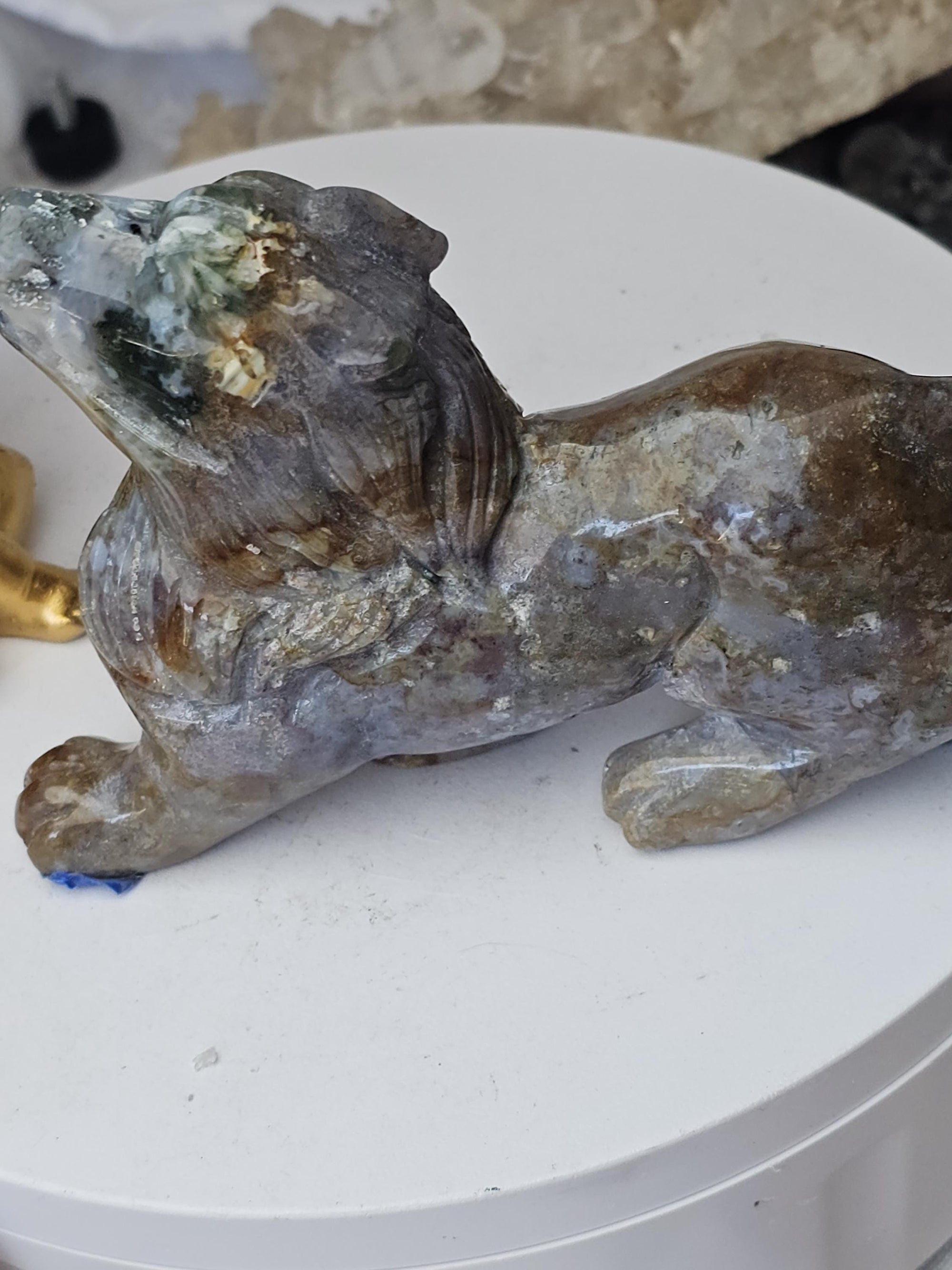 Colorful Druzy Ocean Jasper Wolf, Statement Piece, Wolf