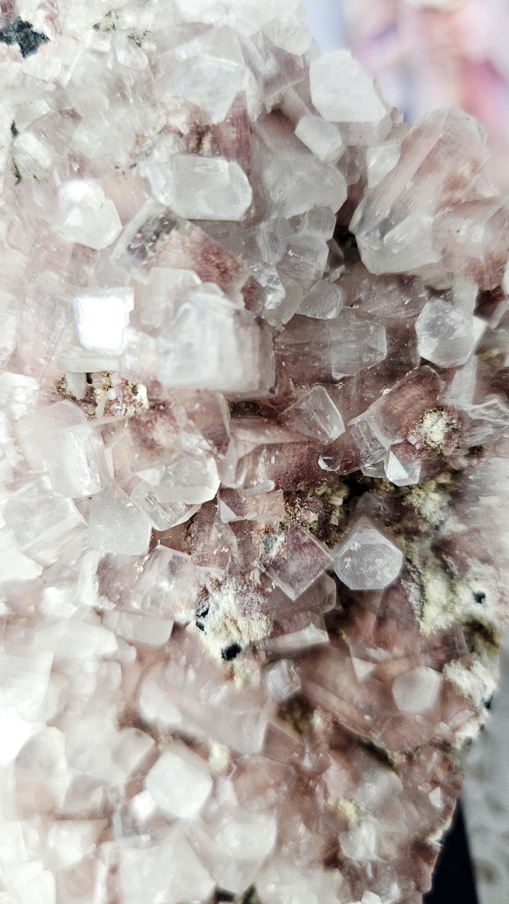Purple Pink Cotton Candy Apophyllite Crystal Cluster, Stillbite Heulandite, India