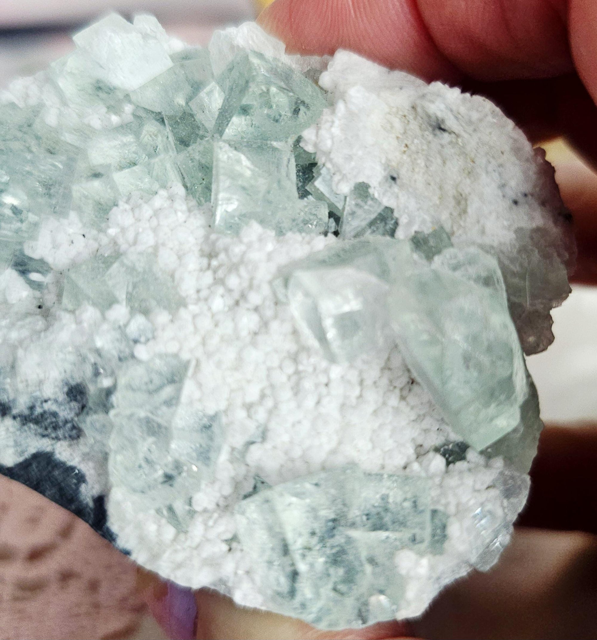 Fujian Fluorite Cube and Calcite Hedgie, Rock Pet, Crystal Buddy,  Reactive, Specimen