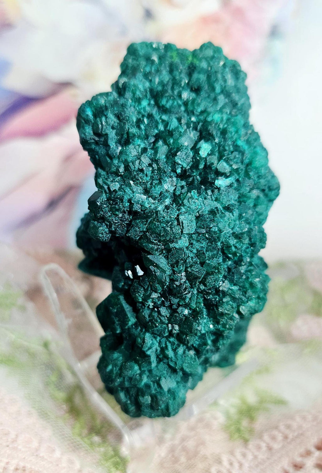 RARE Dioptase Specimen from Congo 8.9oz, Home Decor, Geode, Gift