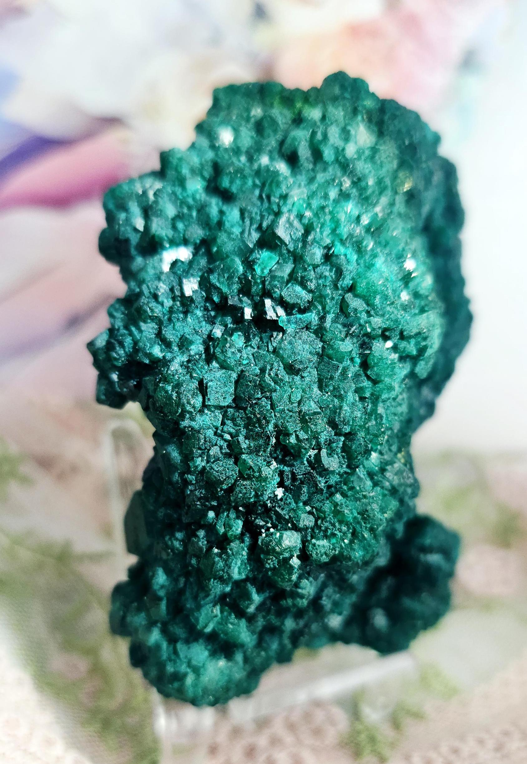 RARE Dioptase Specimen from Congo 8.9oz, Home Decor, Geode, Gift