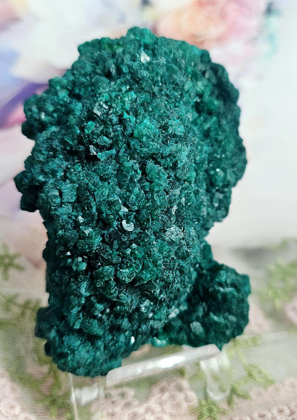 RARE Dioptase Specimen from Congo 8.9oz, Home Decor, Geode, Gift