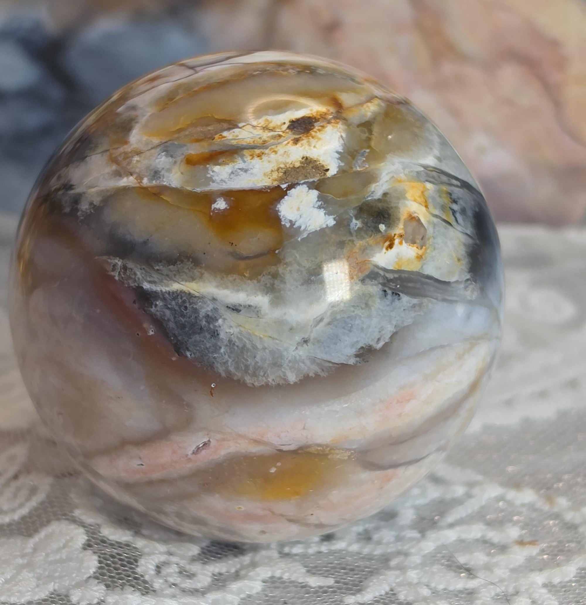 Natural Petrified Wood
