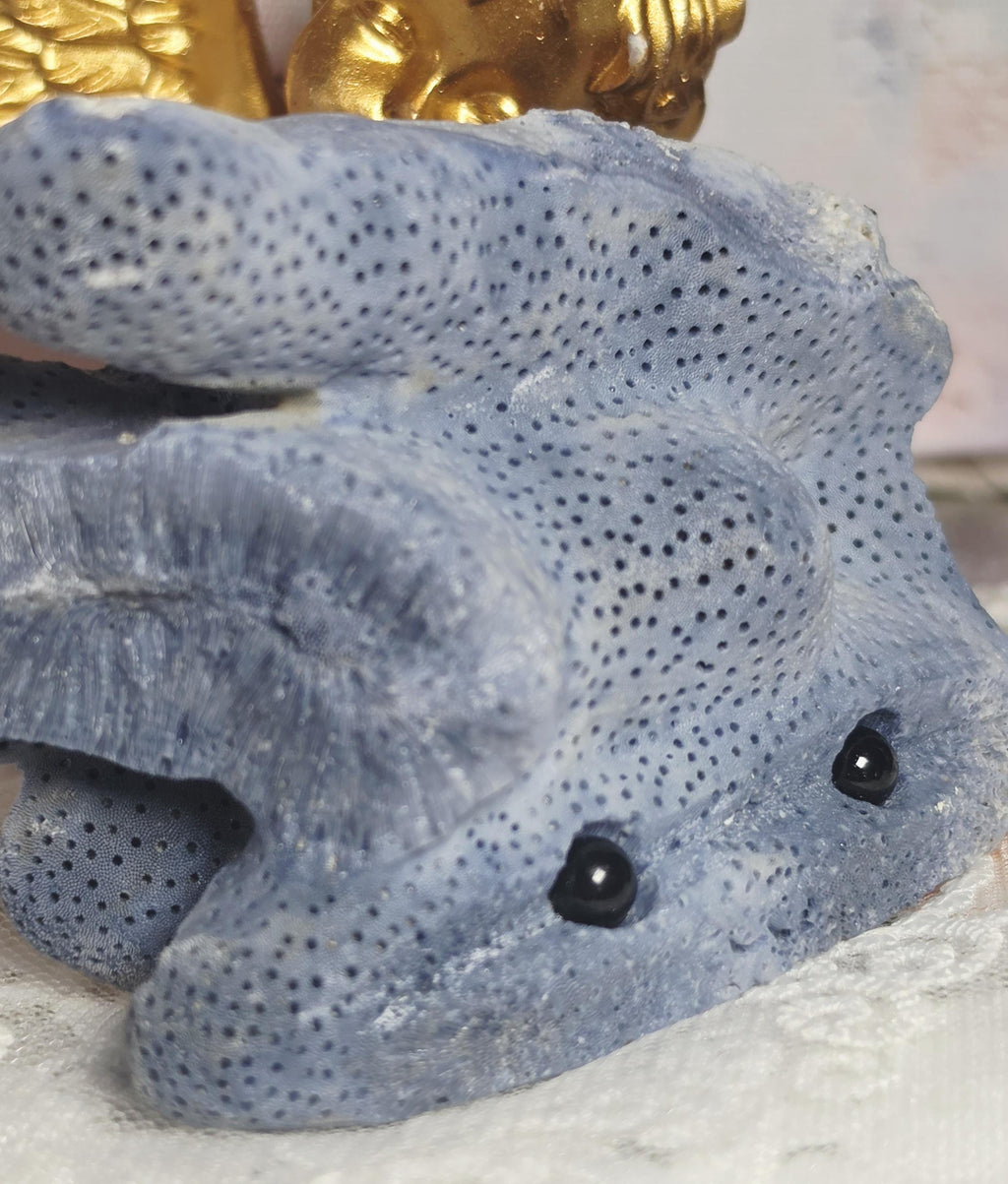 Lg Blue Coral Crystal Buddy, Natural  Rock Pet, Hedgie, Gift, Home Decor
