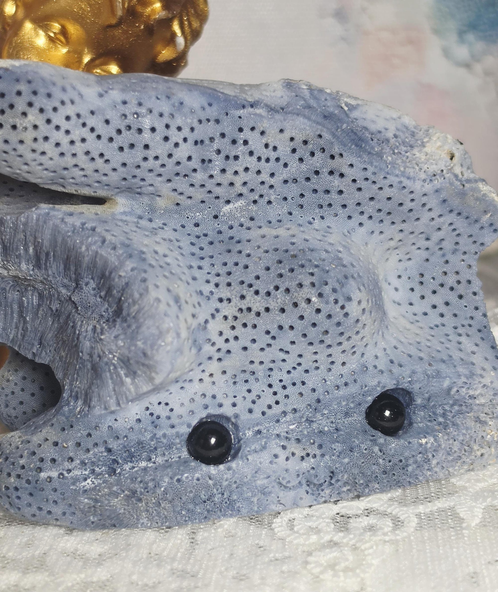 Lg Blue Coral Crystal Buddy, Natural  Rock Pet, Hedgie, Gift, Home Decor