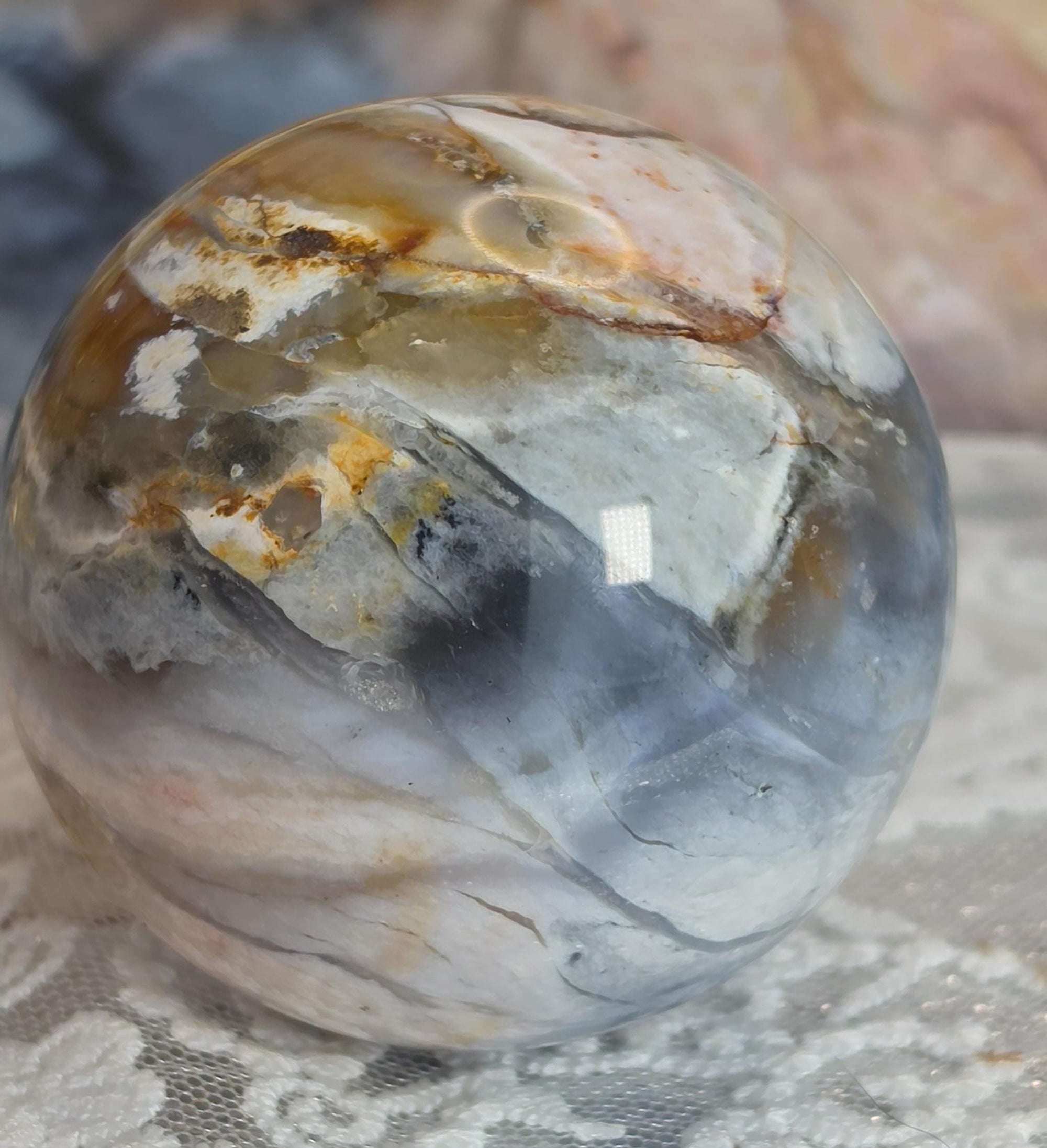 Natural Petrified Wood