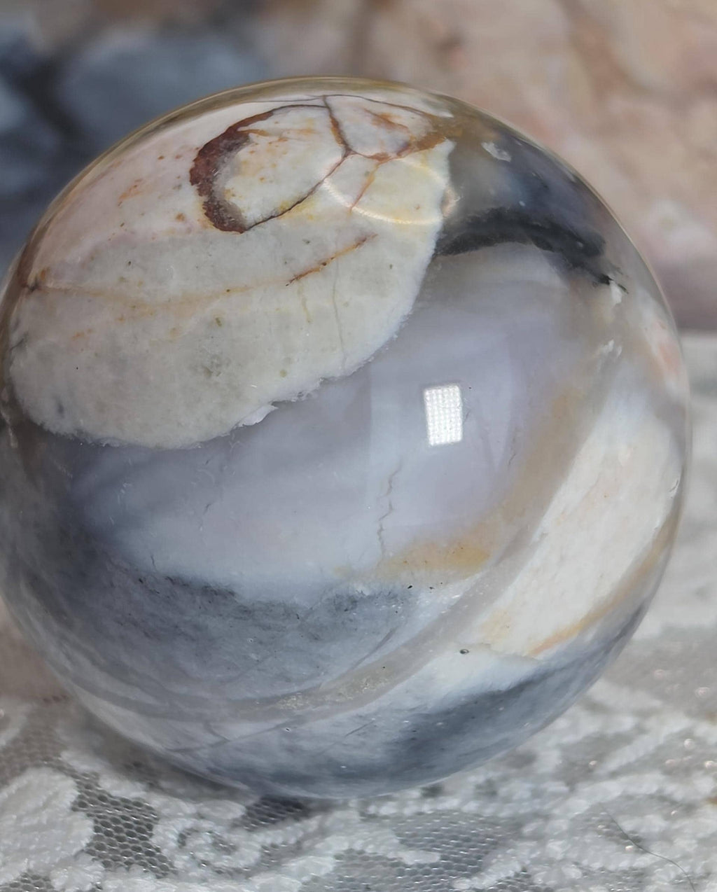 Natural Petrified Wood