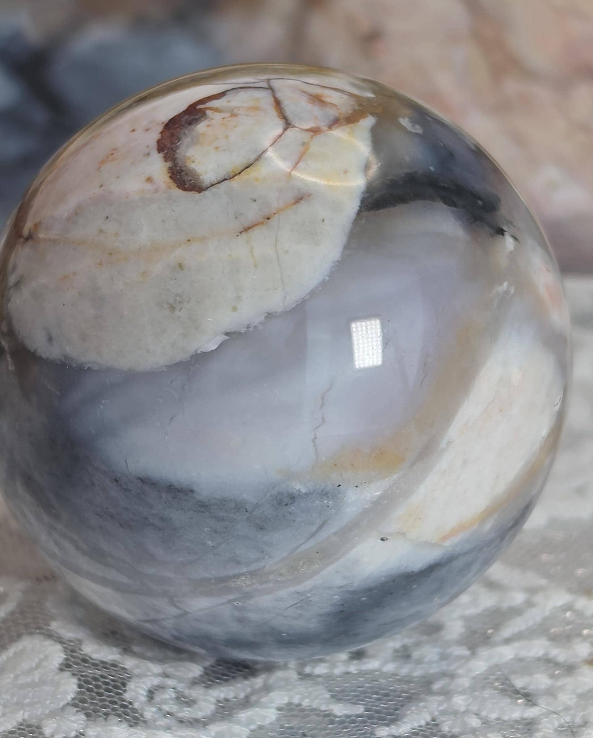 Natural Petrified Wood
