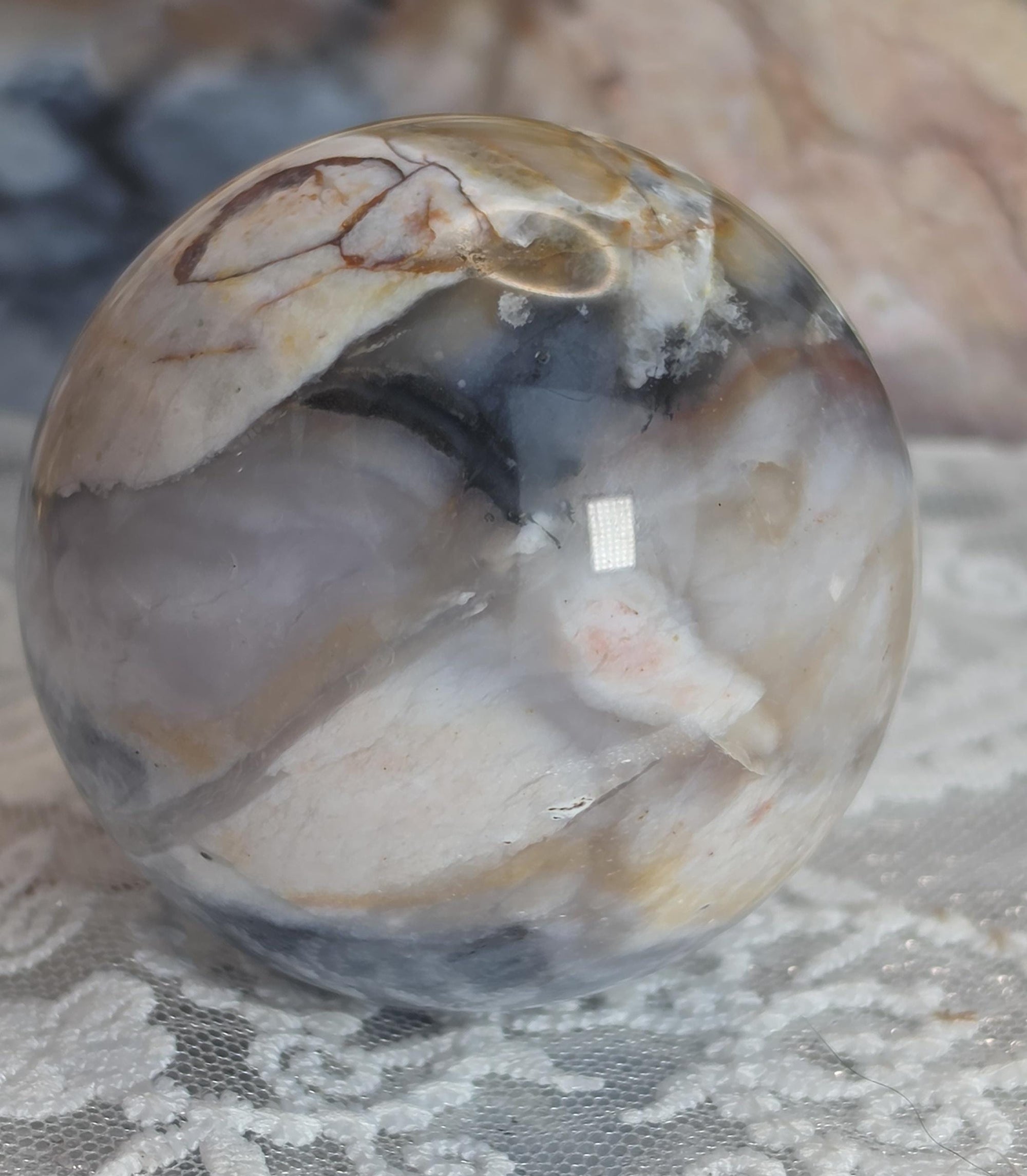 Natural Petrified Wood