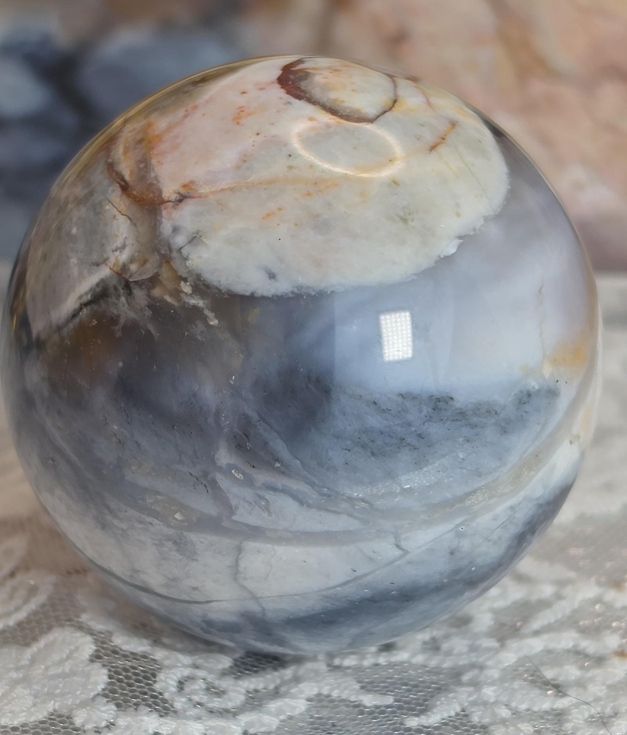 Natural Petrified Wood