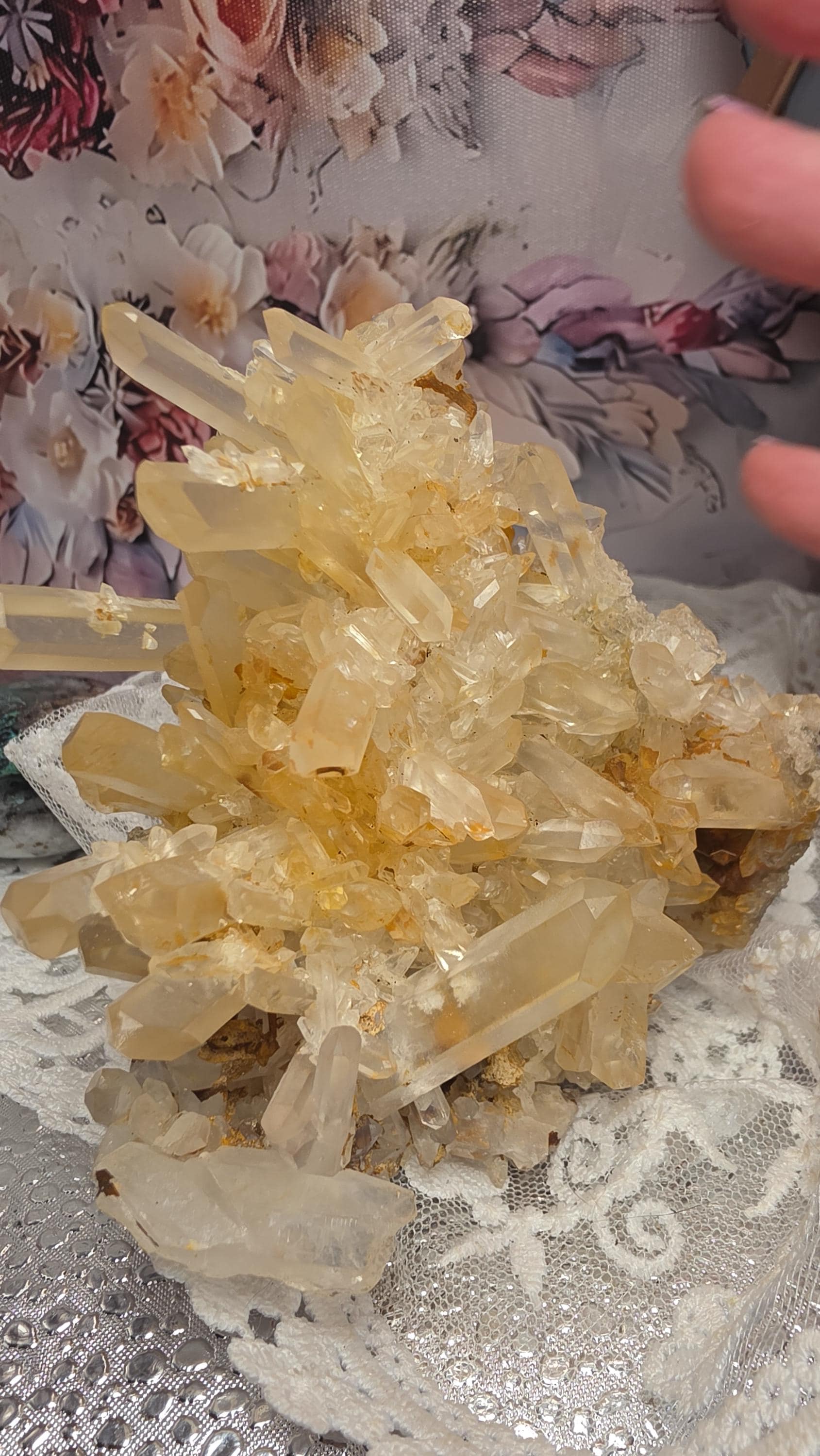RARE Golden Healer  Quartz Crystal Cluster, Cluster, Specimen, Home Decor, Gift, Crown Chakra, 14.2 oz